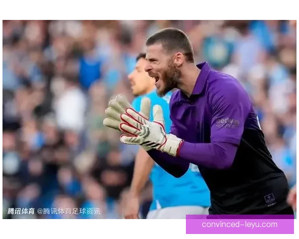 佛罗伦萨俱乐部官宣新赛季引援计划与主帅未来布局展望凝聚球队复兴希望