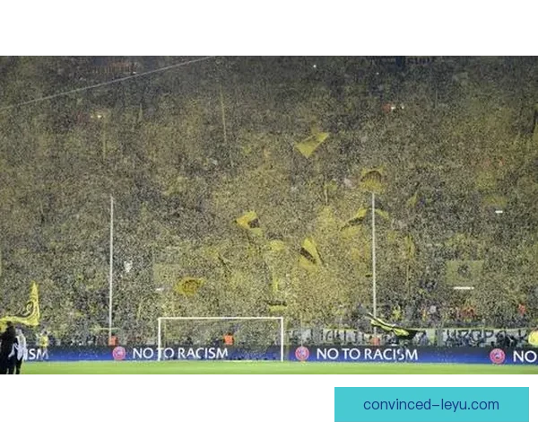 水晶宫俱乐部：重塑辉煌的足球传奇与未来发展之路