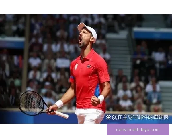 网球历史新篇章 德约科维奇斩获第24个大满贯冠军再创辉煌