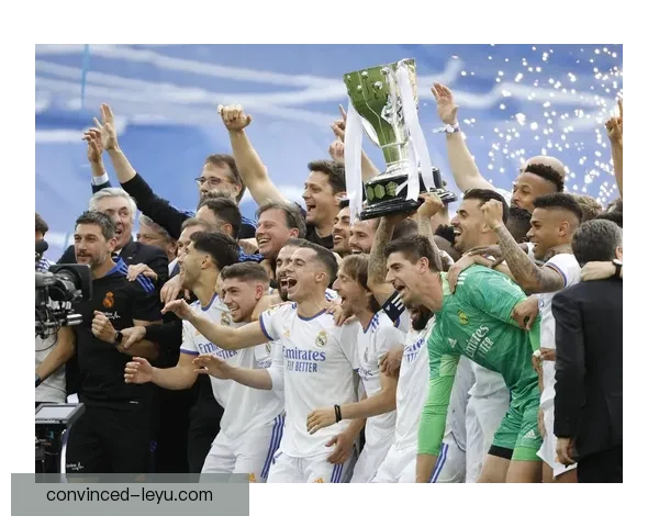 马德里竞技夏窗引援布局全面升级冲击西甲冠军新征程欧冠荣耀梦想再启航