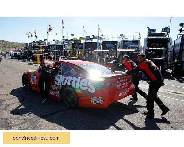 F1赛季最新动态揭秘车队策略与顶尖车手表现