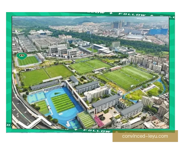 广东省足球赛事发展现状与未来展望分析